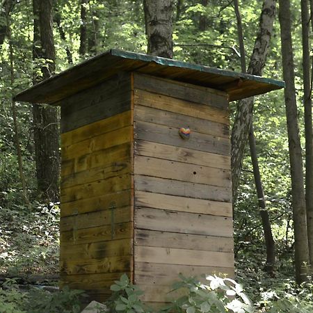 Treehouse Велке Лосіни Екстер'єр фото