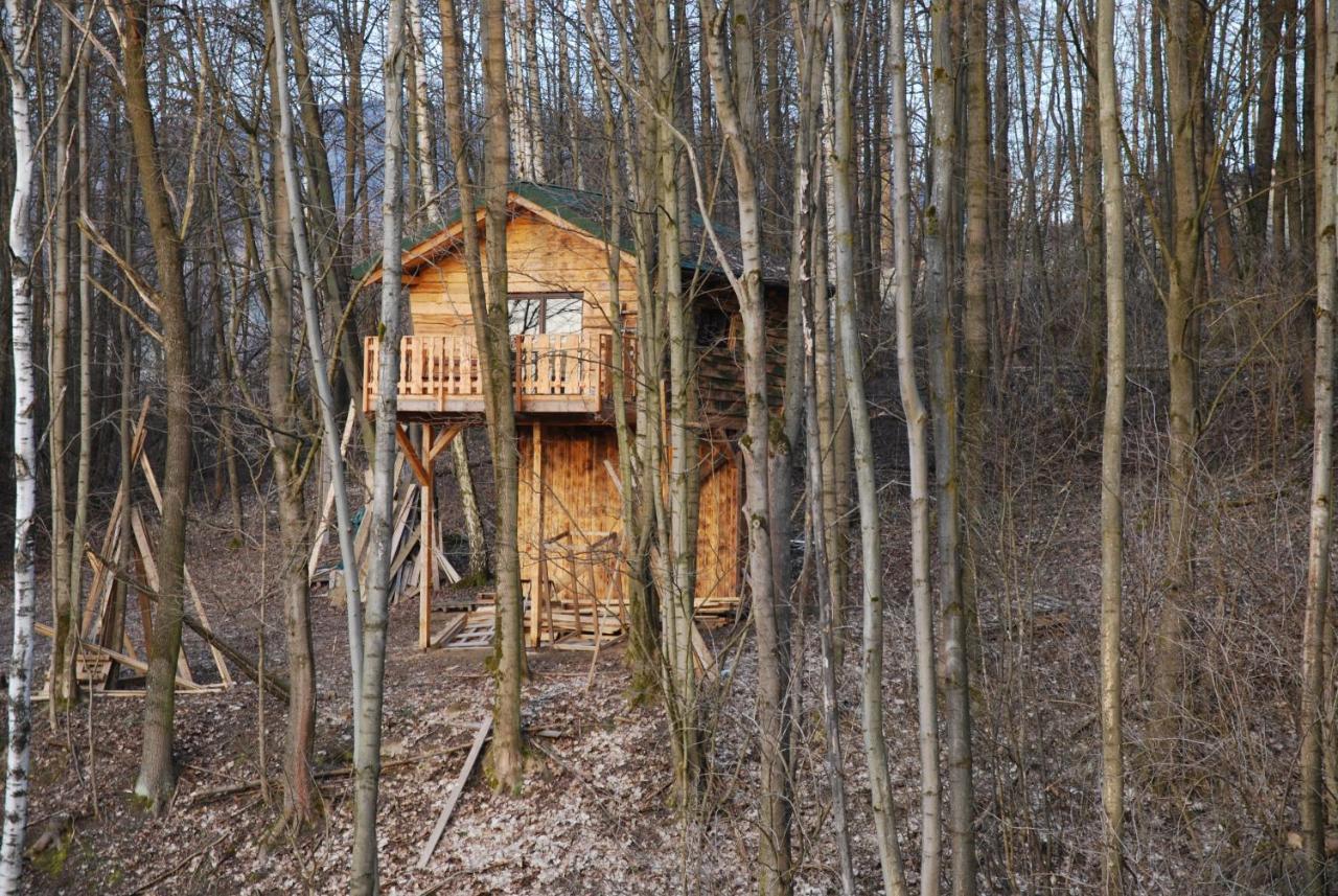 Treehouse Велке Лосіни Екстер'єр фото