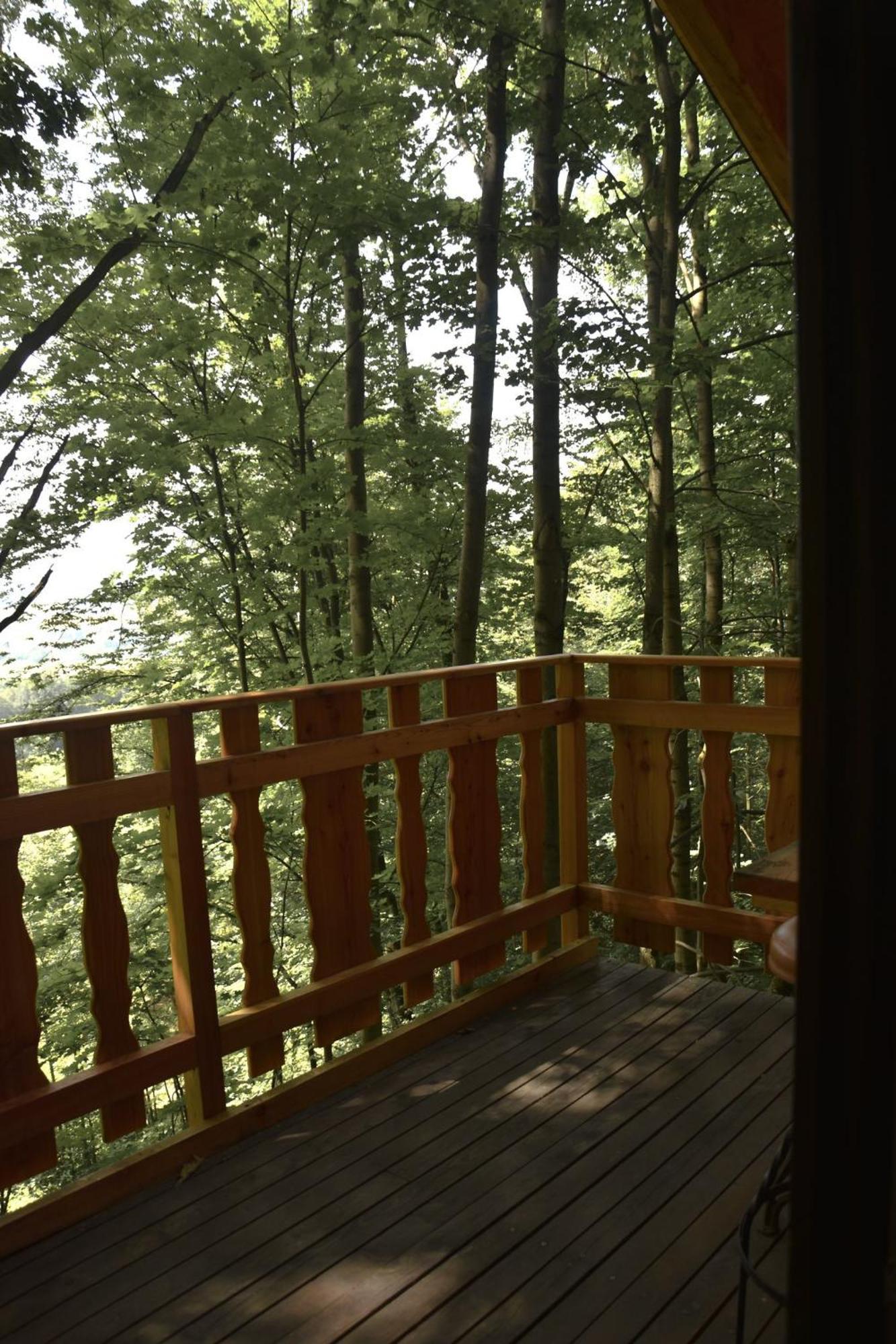 Treehouse Велке Лосіни Екстер'єр фото