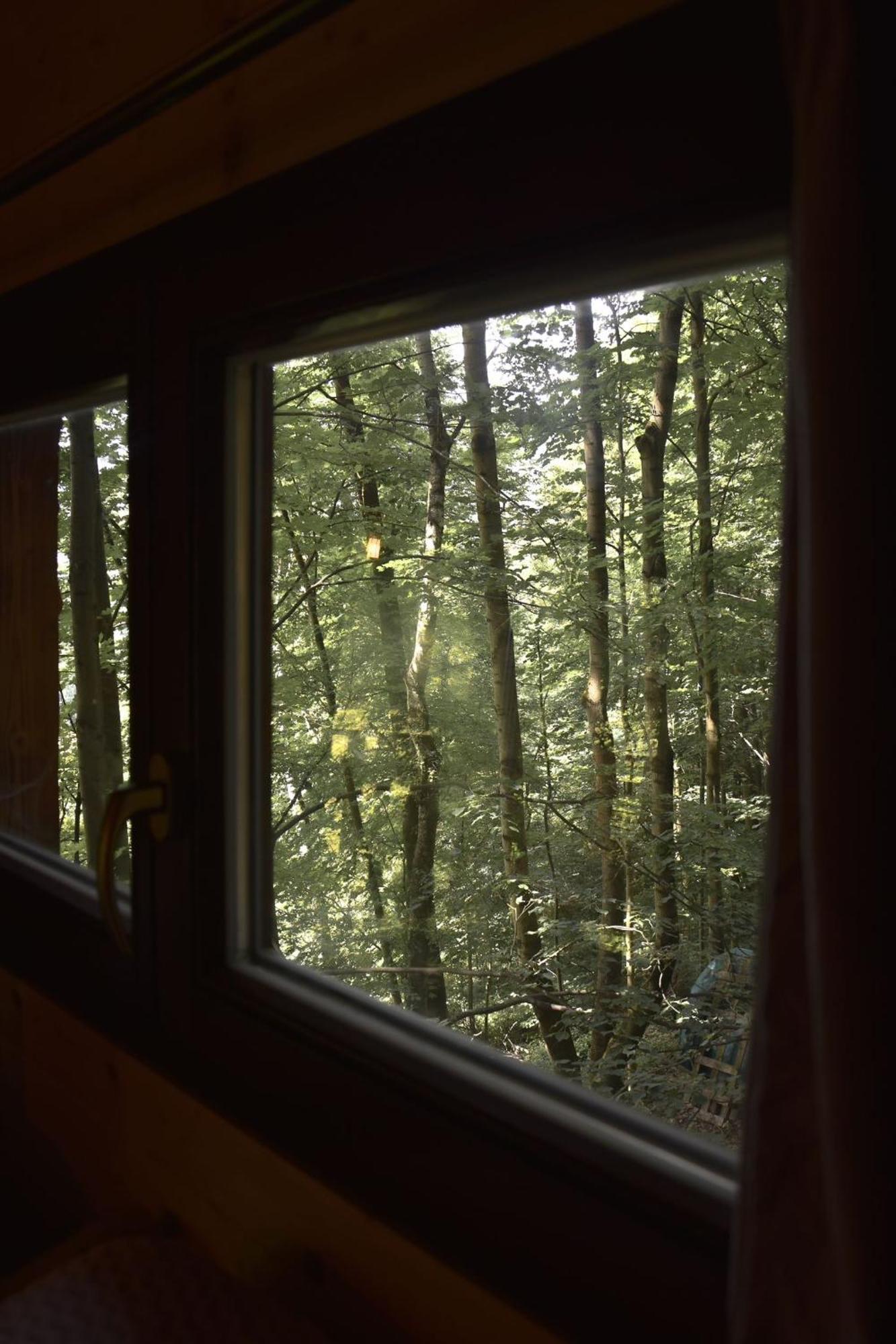 Treehouse Велке Лосіни Екстер'єр фото